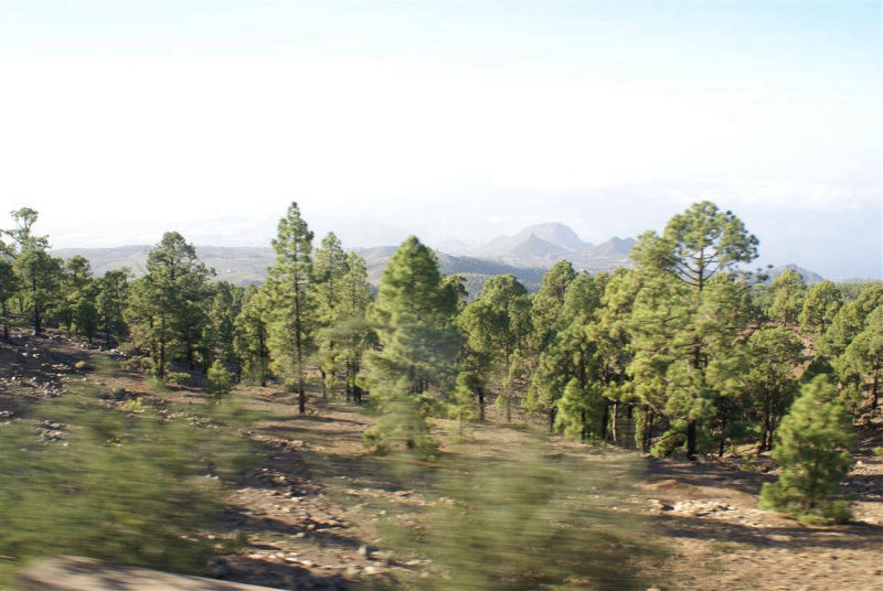 greenery around the hills