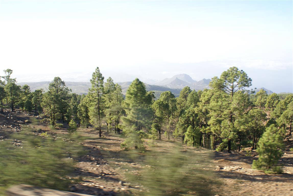 greenery around the hills