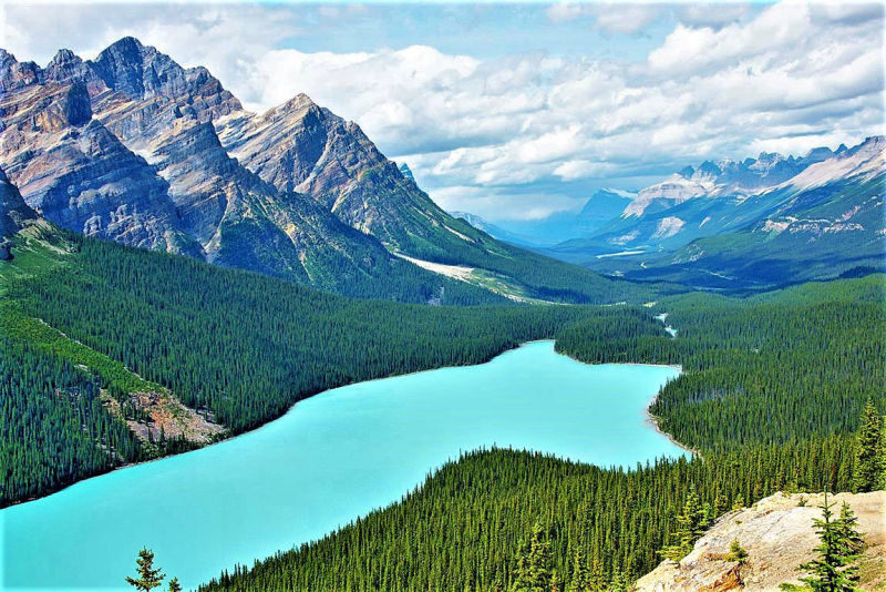 Peyto Lake - really is that blue.