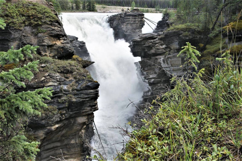 Sunwapta falls