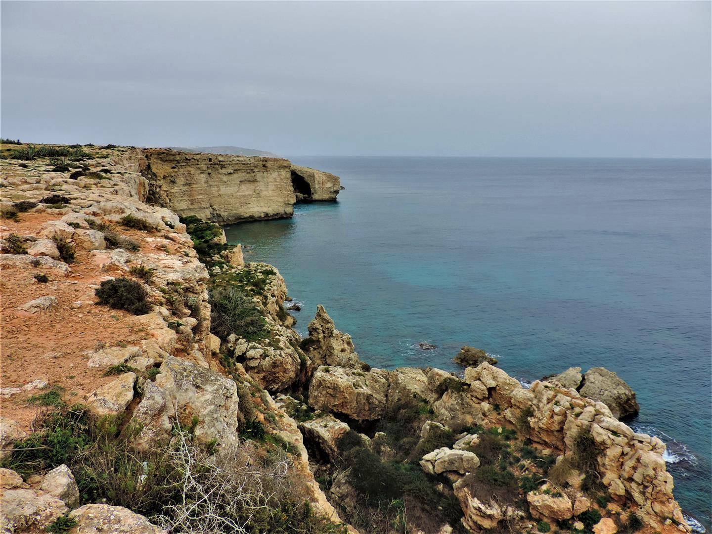 Maltese cliffs