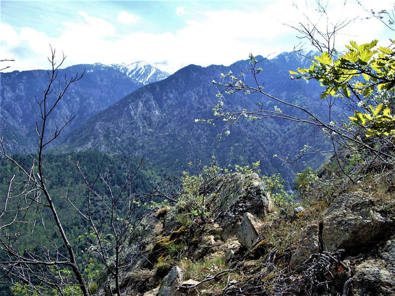 view to the mountains