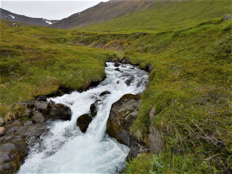 Lots of streams to cross while hiking