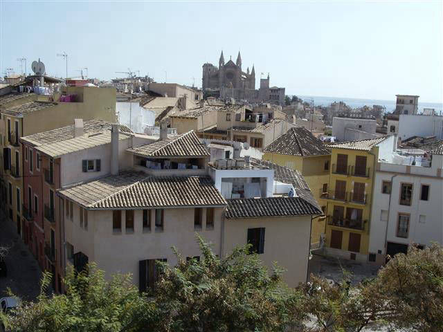 Palma cathedral  from over the rooftops